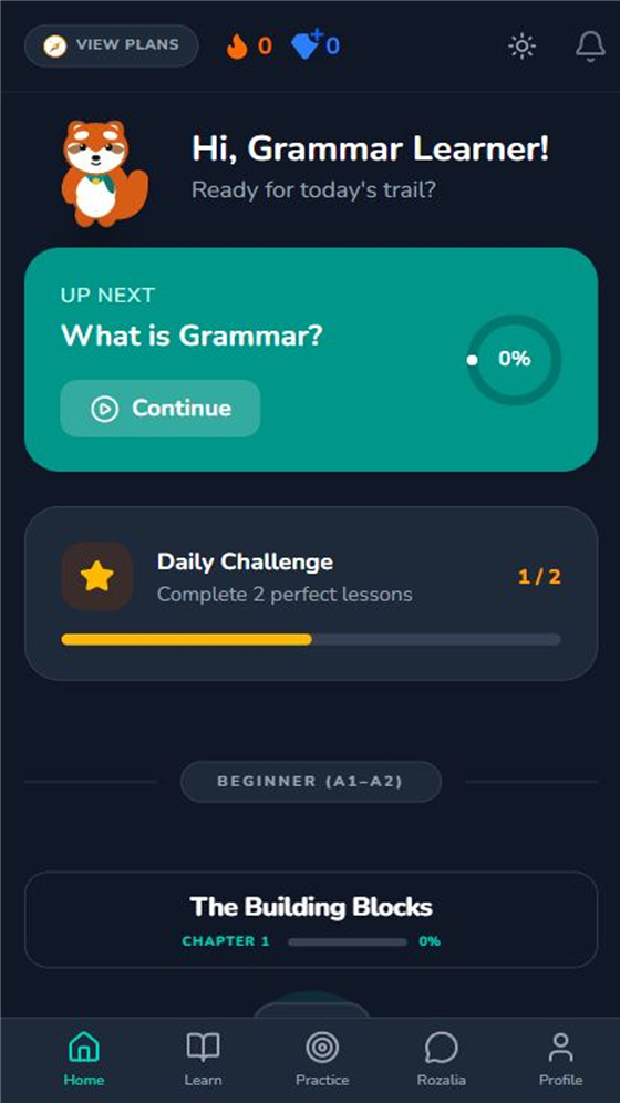 GrammarScout home screen showing the daily lesson and progress